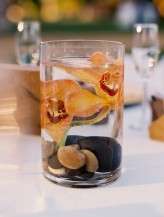 Walkman_R17b_0015850-R6-E192