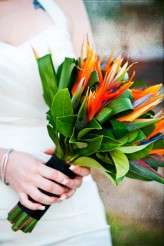 L-and-B20091107_0031