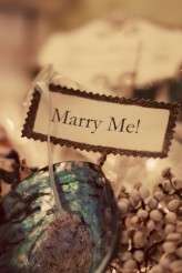 alice hu_fantasy floral_011