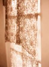 elizabethmessina1011