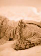 elizabethmessina1023