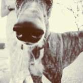 4334271012_033c59b73f