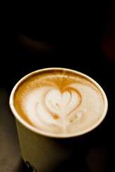 meredith and eric gallery556