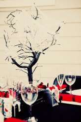 26415_332003208825_647293825_3462747_6114874_n