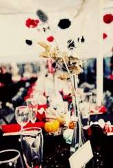 26415_332003238825_647293825_3462751_4071712_n