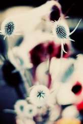 26415_332003258825_647293825_3462752_902886_n