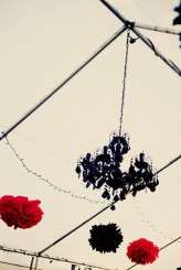 26415_332003343825_647293825_3462761_1817669_n