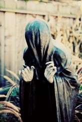 26415_332003368825_647293825_3462763_1663570_n