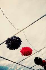 26415_332003408825_647293825_3462767_6745229_n