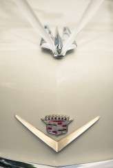 Elodie&Greg-mattjohnsonphotography-6