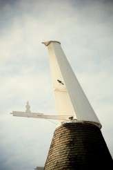 WildWeddings-1691-007