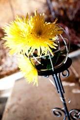 Adam Trujillo Photography0008