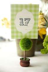 AmandaByronAllebachPhotography-29