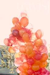 travisjphotography-1