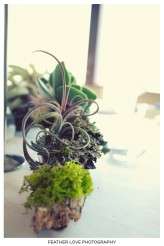 weddingofthecentury046