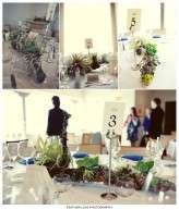 weddingofthecentury047