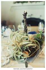 weddingofthecentury048