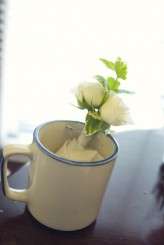 Mirrorbox – Sean & Nicola Detail Shots 002