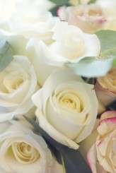 Mirrorbox – Sean & Nicola Detail Shots 003