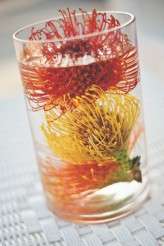 dixie pixel beach wedding 29