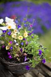 Harry-and-Laura-0043