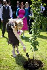 Harry-and-Laura-0153