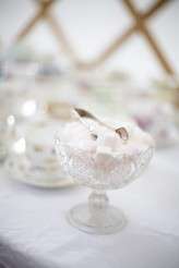 Harry-and-Laura-0500