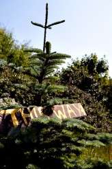 Jenni and George Wedding -153