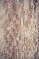 PERKINS_WEDDING0088-Edit