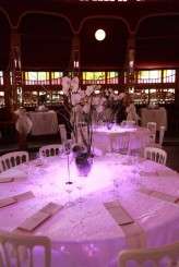 Sophie & Jason (441 of 624)