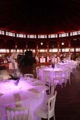 Sophie & Jason (443 of 624)