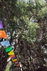 kaoriAlex-LA-MarianneWilson-021