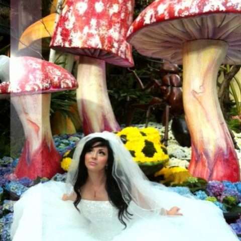 4977701657_00da64d580_b