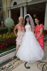 4978339210_d374dd2ef4_b