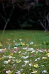 Colleen & Chris 1766