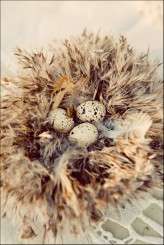 Jagger Photography39