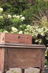 fromage photography garden ceremony 38