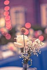 fromage photography garden ceremony 72