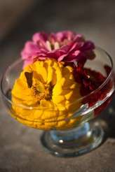 laurenmcglynnphoto-28c