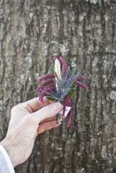 5009573554_99bc50ca28_b