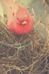 cemeterywedding_lytlefoto058