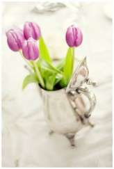 J&M_celebrity wedding_038