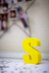 Leo_and_Shalma_s_Wedding-1349