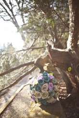 5228921477_466a648967_bb