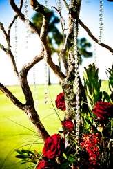 110610 WED KELLY-STEVE