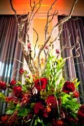 110610 WED KELLY-STEVE