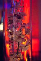 110610 WED KELLY-STEVE