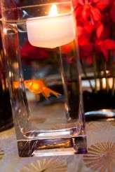 110610 WED KELLY-STEVE