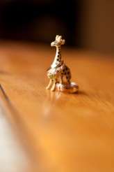 SharonAlagnaMikeMayfield003