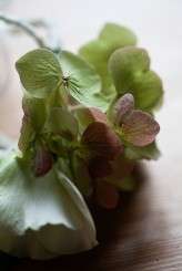 kate jeff rock n roll bride-8